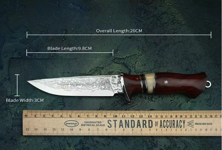 3.86 Inch Outdoor Fixed Blade Bowie Knife, 67 Layers VG10 Steel, Rosewood and Ebony Wood