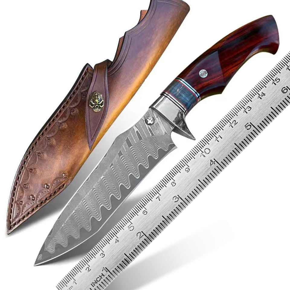 3.86 Inch Outdoor Full Tang Fixed Blade Knife, VG10 Damascus Steel, Rosewood And Stabilizer Handle