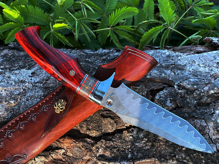 3.86 Inch Outdoor Full Tang Fixed Blade Knife, VG10 Damascus Steel, Rosewood And Stabilizer Handle