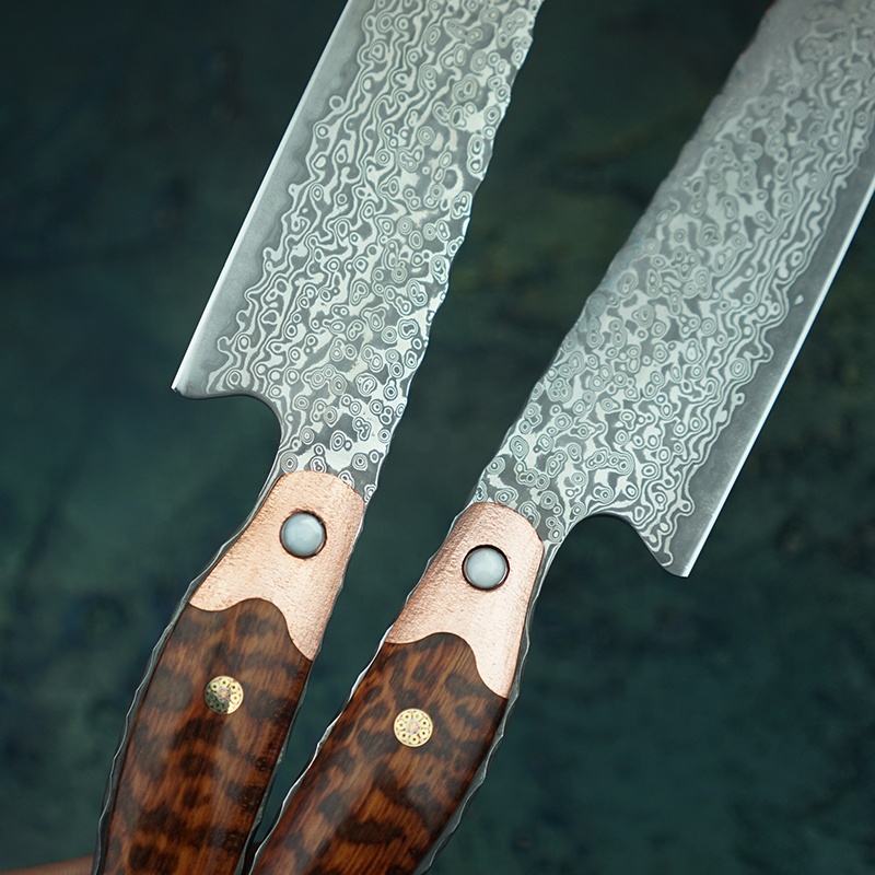 8 Inch Japanese Chef Knife,Hand Forged Damascus Steel Blade,Snakewood Handle